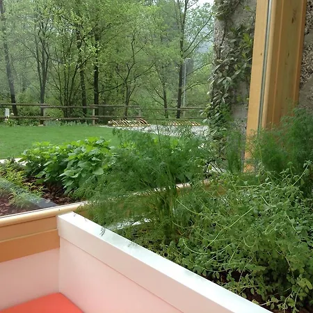 Selva Di Gelso Bed & Breakfast Clusone